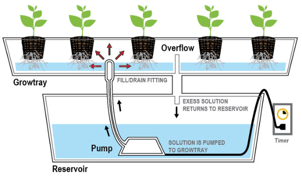 سیستم جزر و مد (Ebb and Flow System) گلخانه هیدروپونیک لوازم گلخانه هیدروپونیک شرکت مهندسی تجهیز گستر صدستون