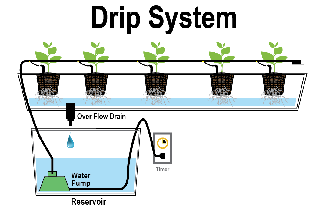 سیستم قطرهای هیدروپونیک (Drip System) انوع کشت هیدروپونیک در گلخانه لوازم کشت هیدروپونیک شرکت مهندسی تجهیز گستر صدستون