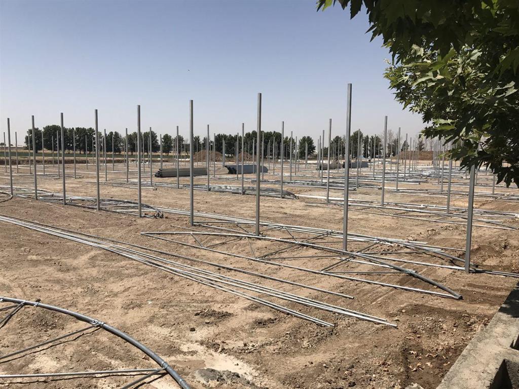 قیمت زمین گلخانه ، استعلام قیمت اولیه گلخانه ، براورد قیمت گلخانه