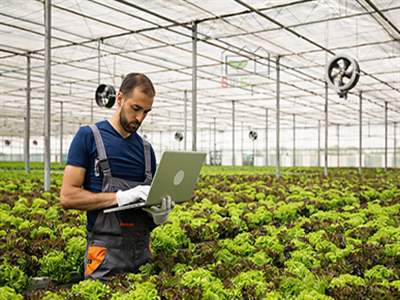 اتوماسیون گلخانه و سیستم کنترل اقلیم